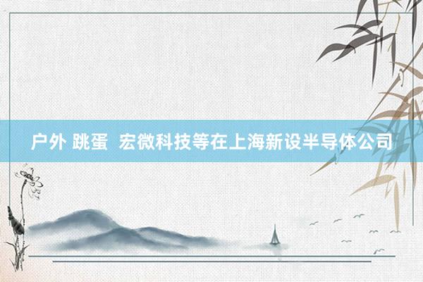 户外 跳蛋  宏微科技等在上海新设半导体公司