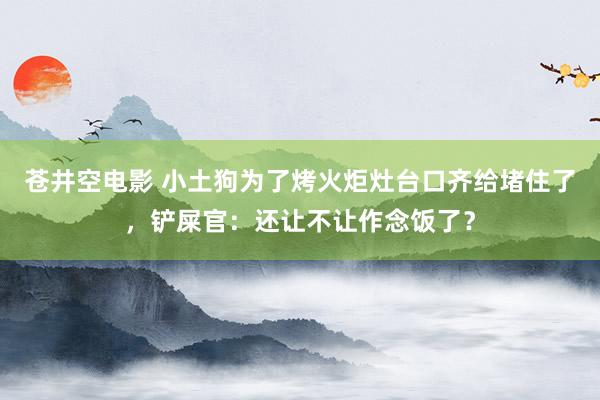 苍井空电影 小土狗为了烤火炬灶台口齐给堵住了，铲屎官：还让不让作念饭了？
