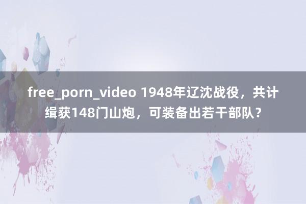 free_porn_video 1948年辽沈战役，共计缉获148门山炮，可装备出若干部队？