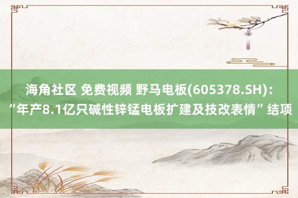 海角社区 免费视频 野马电板(605378.SH)：“年产8.1亿只碱性锌锰电板扩建及技改表情”结项