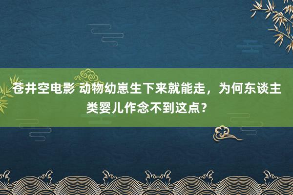 苍井空电影 动物幼崽生下来就能走，为何东谈主类婴儿作念不到这点？