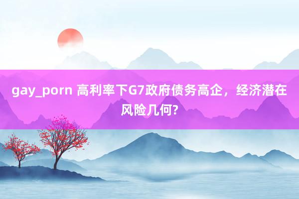 gay_porn 高利率下G7政府债务高企，经济潜在风险几何?