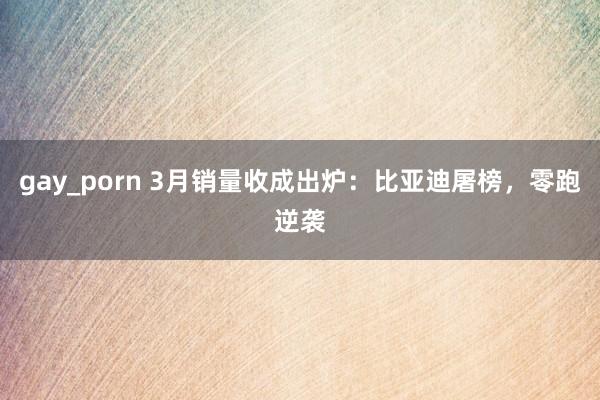 gay_porn 3月销量收成出炉：比亚迪屠榜，零跑逆袭