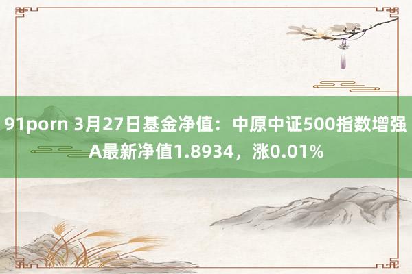 91porn 3月27日基金净值：中原中证500指数增强A最新净值1.8934，涨0.01%