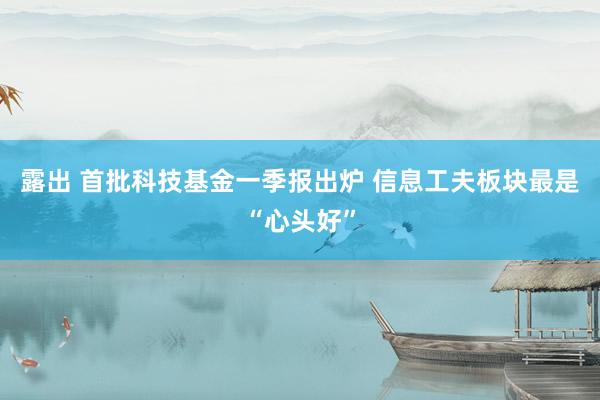 露出 首批科技基金一季报出炉 信息工夫板块最是“心头好”