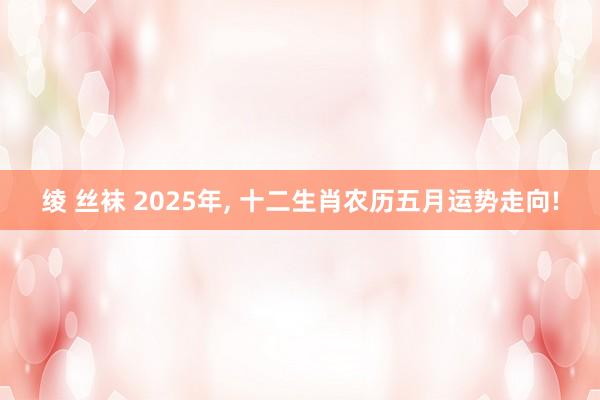 绫 丝袜 2025年， 十二生肖农历五月运势走向!